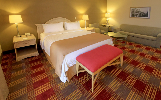 Holiday Inn Monclova by IHG