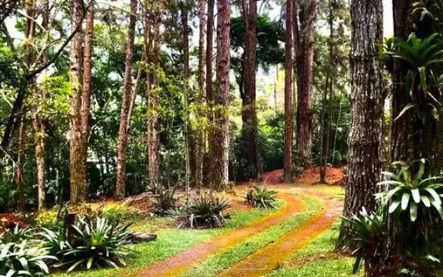 Estância das Nascentes - Sítio São Francisco