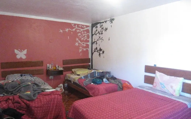 Vacahouse 2 Eco-Hostel
