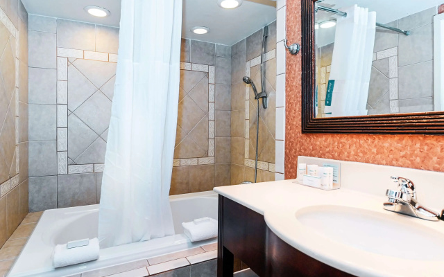 Hampton Inn by Hilton Chester South