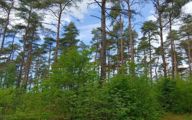 6 Person Holiday Home in Oksbol