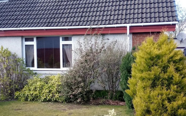 F1 LET Home