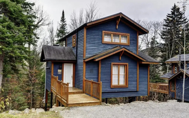Chalet- 03 Chemin Alpin