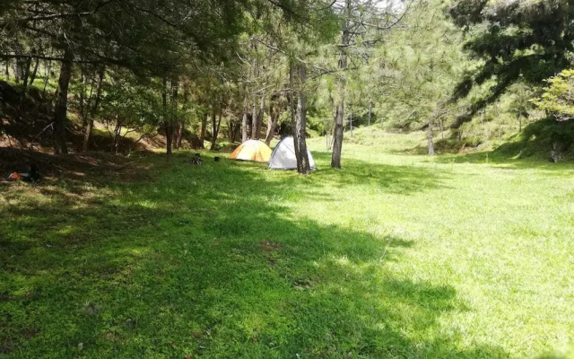 Casa Don Gil - Campsite