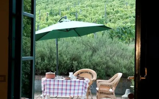 Azienda Agricola Buon Riposo