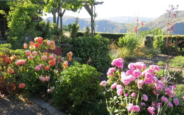Cortijo Opazo