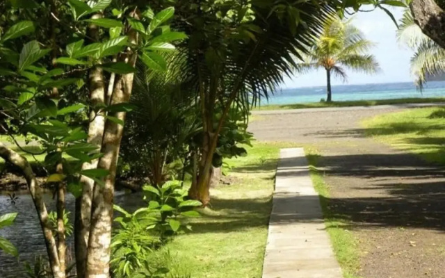 Pacific Treelodge Resort