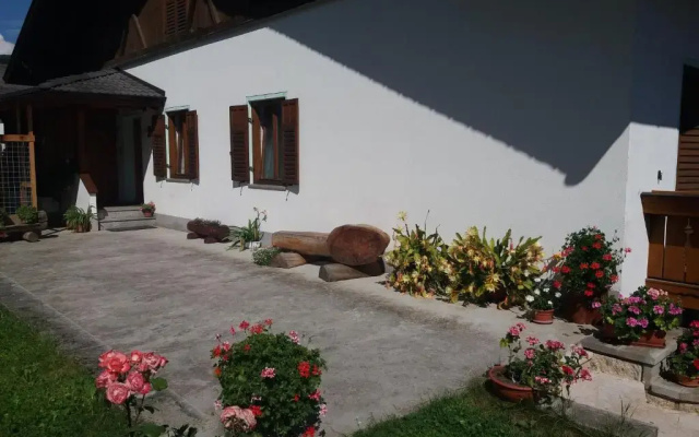 Appartamento Cologna