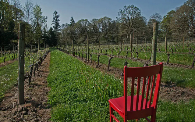 R. R. Thompson House Bed & Breakfast