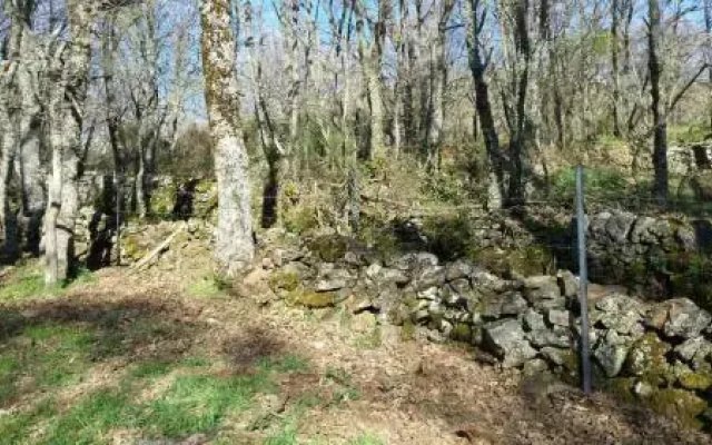 Casa Orgaz