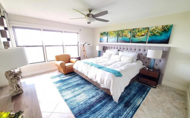 Sand Dollar 101