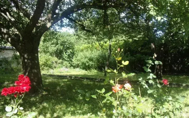 Le Grand Jardin