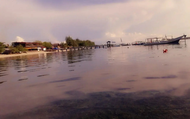 Funnyhomestay3