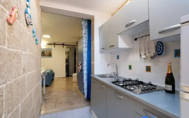 catalogImage