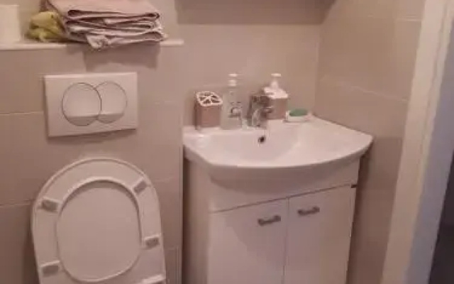 Apartment Igor