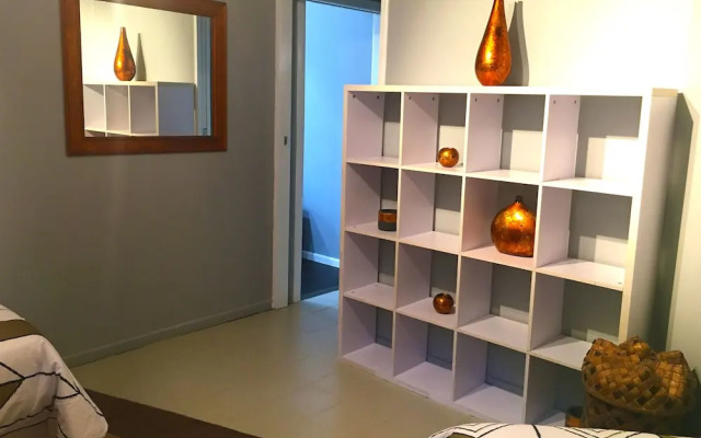 Ecostudio Fellini