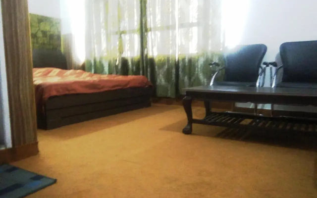 Hotel Mount View Shimla