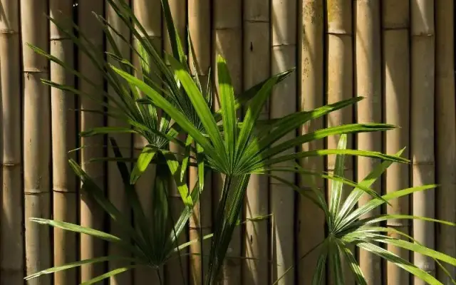 Anantara Mai Khao Phuket Villas