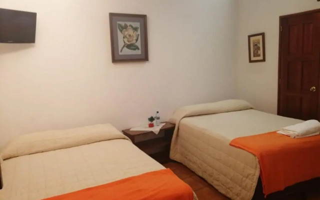 Casa Buho B&B