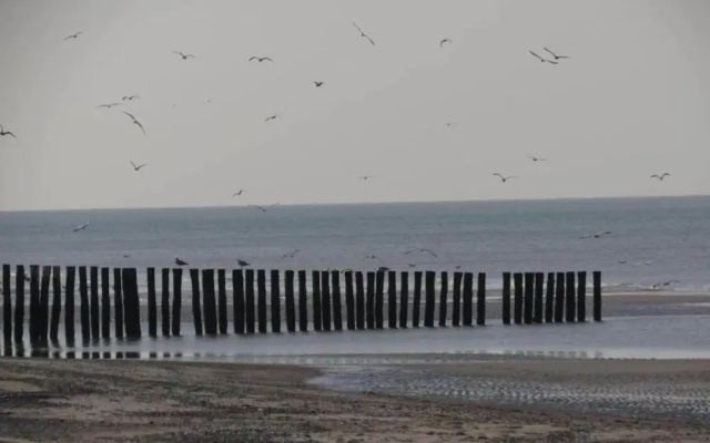 Studio in Domburg Near Beach and Golf