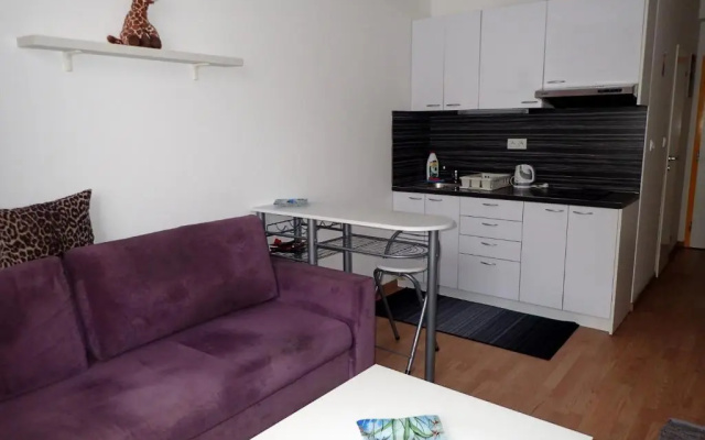 Cozy apartment