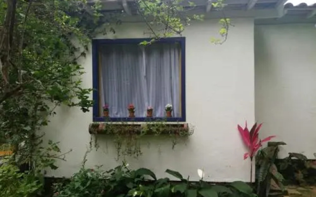Ciranda De Flores