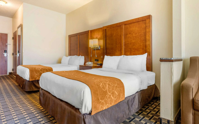 Comfort Inn Summerville - Charleston