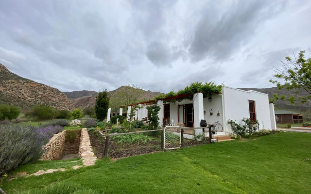 Alpaca Inn