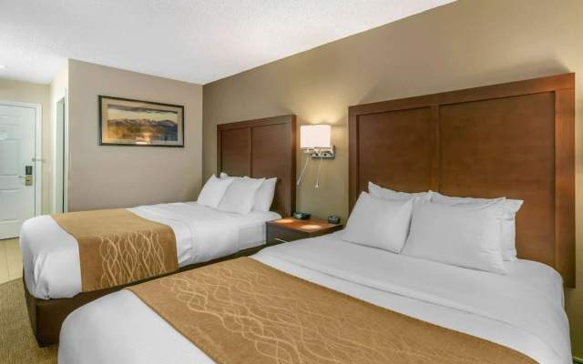 Comfort Inn