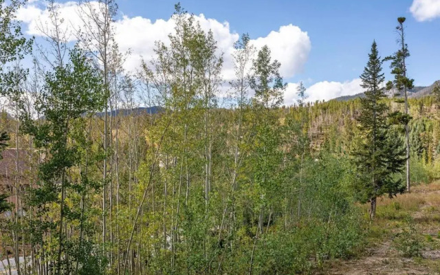Gore Trail A1 - Wildernest