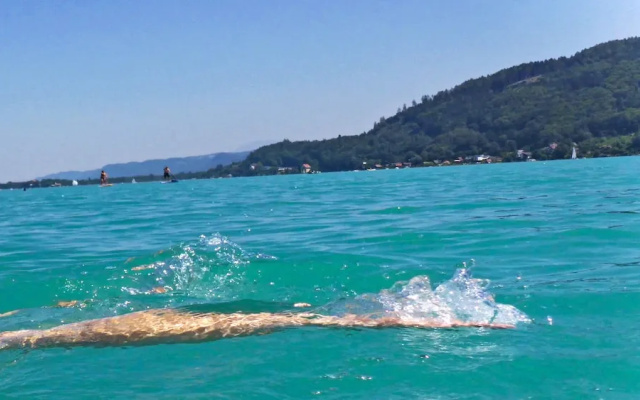 Hotel Seerösl Wörthersee Kärnten