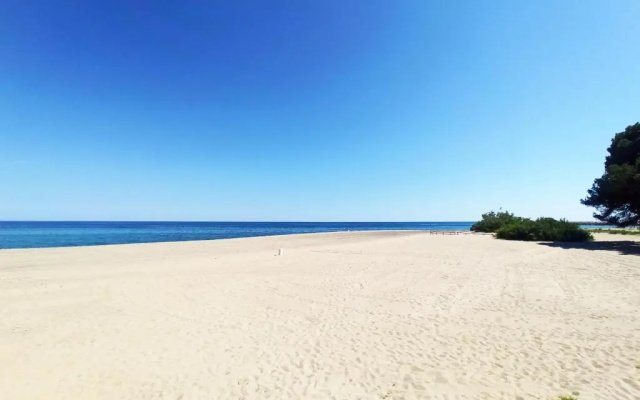 Cocos 6