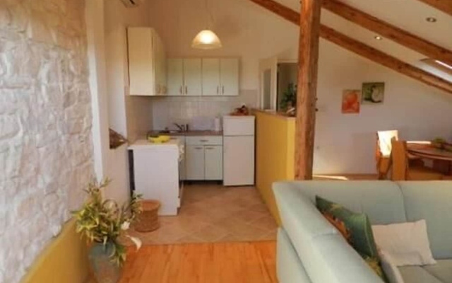 Apartments Radomir