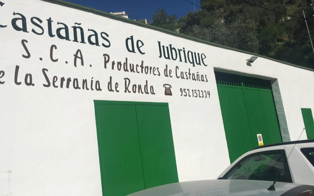 Júbrique