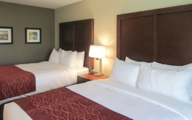 Comfort Inn & Suites Gap Amish Country