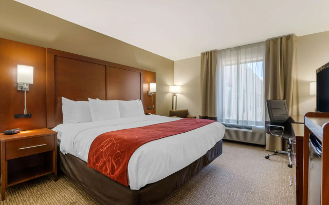 Comfort Inn & Suites Macon West