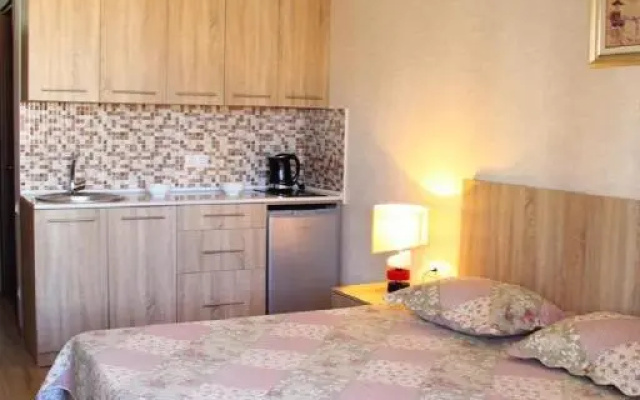 Dan Luxury Apartment