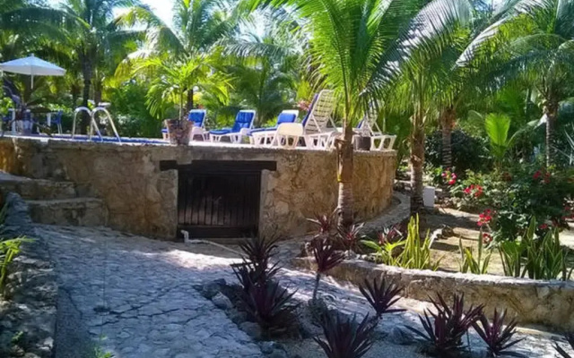 Casa de Las Tortugas I Tour Akumal