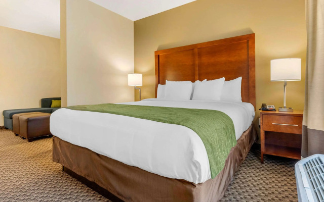 Comfort Inn & Suites Florence Center Area