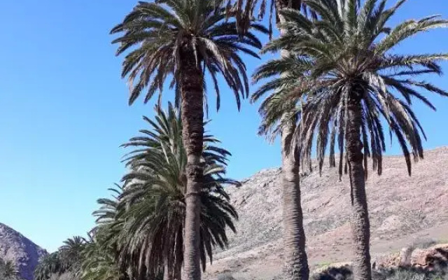 La Pradera