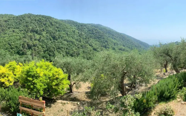 La porta del Sole