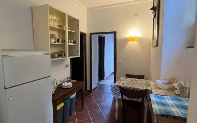 Geckos House