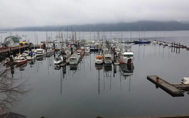 Bayview Bed and Breakfast