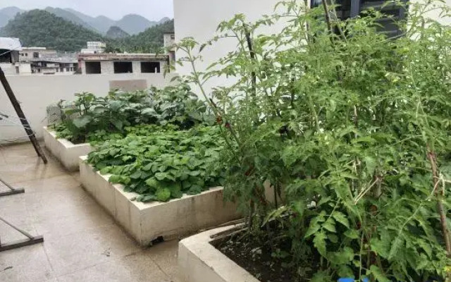 Yushi Shanshe Homestay (Huangguoshu National Park Branch)