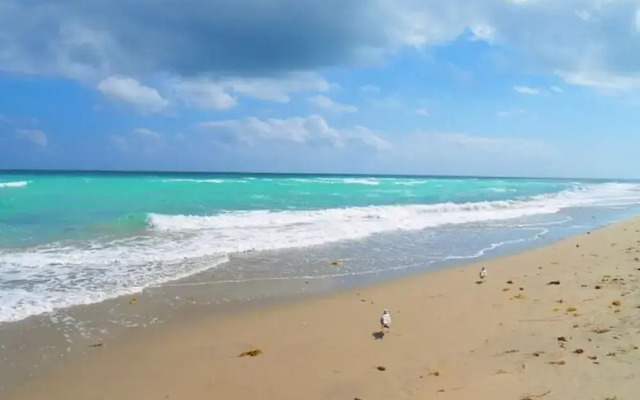 Gorgeous gem, walk from the Ocean!!