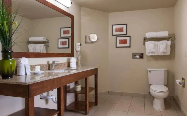 Comfort Suites Central