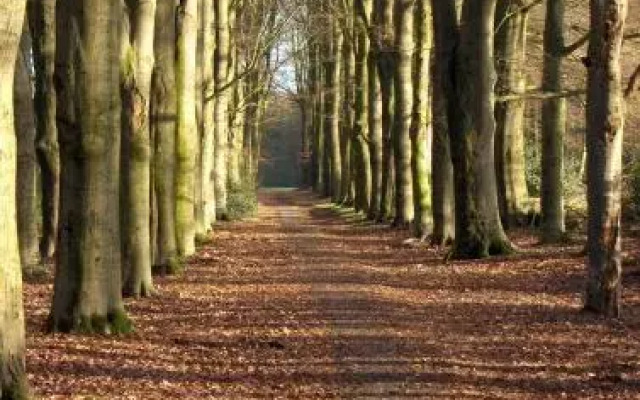 B&B De Buxushoeve