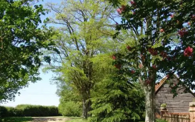 Zouch Farm Bed & Breakfast