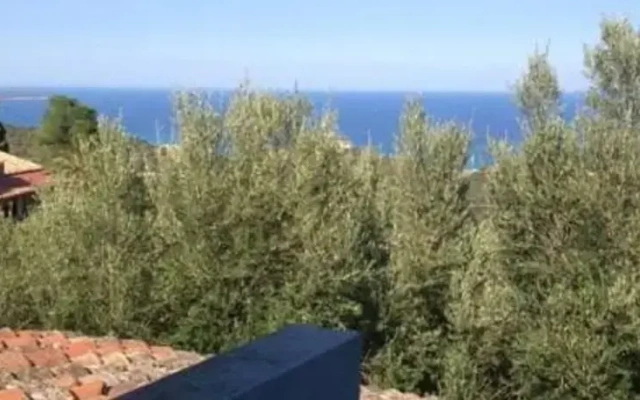 Costa Rei Asfodeli
