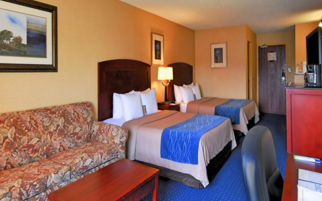 Comfort Inn & Suites North East
